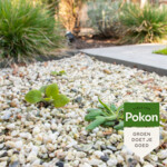 12x Pokon Tegen Onkruid Concentraat - 181.92 euro