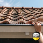 Home Defense Duivenpinnen 2,5 m (5 x 50 cm) - 16.95 euro