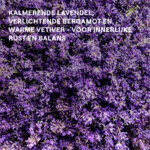 WELEDA Douchecrème Relax Lavendel - 11.99 euro