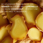 WELEDA Douchegel Gember Energy - 10.79 euro