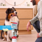 Beaphar Tandpasta + borstel - 9.75 euro