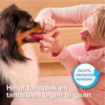 Beaphar Vingertandenborstel - 4.19 euro