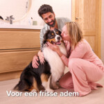 6x Beaphar Dental Vingerpads - 36.51 euro
