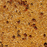 Deli Nature Uni Paté Tovo - 7.19 euro