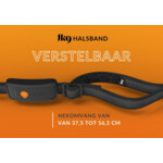 Weenect XT GPS Tracker Hond Zwart 
