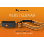 Weenect XT GPS Tracker Hond Oranje 