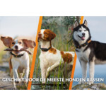 Weenect XT GPS Tracker Hond Oranje 