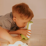 Mary's Nachtlamp Dinosaurus - 15.59 euro