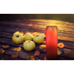 SPAAS Noveenkaars 9 Dagen Rood - 3.45 euro