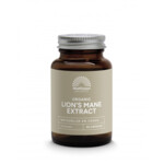 Mattisson Biologische Lion's Mane Extract 500mg