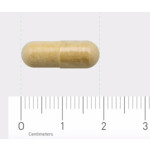 Orthica Silymarin-360 - 21.85 euro