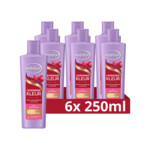 6x Andrelon Shampoo Levendige Kleur