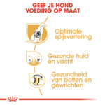 Royal Canin German Shepherd Adult Hondenvoer 11 kg