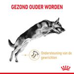 Royal Canin German Shepherd Adult 5+ Hondenvoer 12 kg