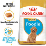Royal Canin Poodle Puppy Hondenvoer 3 kg