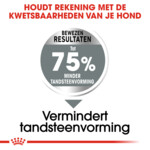 Royal Canin Dental Care Maxi 9 Hondenvoer 9 kg