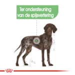 Royal Canin Digestive Care Maxi Hondenvoer 12 kg