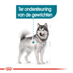 Royal Canin Joint Care Maxi Hondenvoer 10 kg