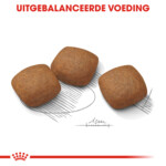 Royal Canin Joint Care Maxi Hondenvoer 10 kg