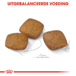 Royal Canin Relax Care Maxi 9 Hondenvoer 9 kg