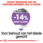 Royal Canin Sterilised Maxi Hondenvoer 12 kg
