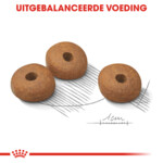 Royal Canin Hondenvoer Light Weight Care Mini 3 kg