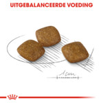 Royal Canin Relax Care Mini Hondenvoer 3 kg
