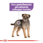 Royal Canin Sterilised Mini Hondenvoer 3 kg