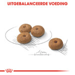 Royal Canin Sterilised Mini Hondenvoer 3 kg