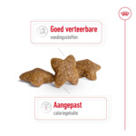 Royal Canin Mini Adult Hondenvoer 4 kg