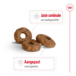 Royal Canin Mini Ageing Plus Hondenvoer 3.5 kg