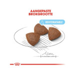 Royal Canin Hondenvoer Droog Medium Starter Mother & Babydog 15 kg