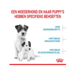 Royal Canin Hondenvoer Mini Starter Mother & Babydog 4 kg