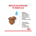 Royal Canin Hondenvoer Mini Starter Mother & Babydog 4 kg