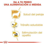 12x Royal Canin Chihuahua Adult Hondenvoer Nat 85 gr