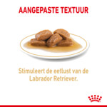 10x Royal Canin Hondenvoer Nat Labrador Adult 140 gr
