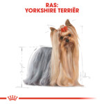 12x Royal Canin Yorkshire Terrier Adult Hondenvoer Nat 85 gr
