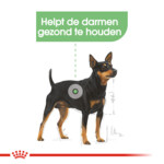 12x Royal Canin Digestive Care Hondenvoer Nat 85 gr