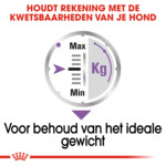 12x Royal Canin Sterilised Hondenvoer Nat 85 gr