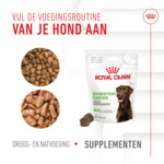 Royal Canin Supplement Digestion 160 gr