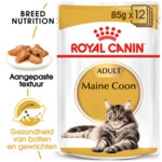 12x Royal Canin Kattenvoer Nat Maine Coon Loaf 85 gr