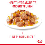 12x Royal Canin Hairball Care Jelly Kattenvoer Nat 85 gr