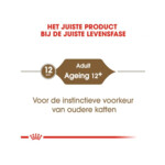 12x Royal Canin Kattenvoer Nat Ageing 12+ Jelly 85 gr