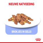 12x Royal Canin Indoor Jelly Kattenvoer Nat 85 gr