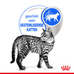 12x Royal Canin Indoor Jelly Kattenvoer Nat 85 gr