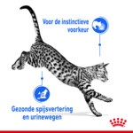 12x Royal Canin Indoor Jelly Kattenvoer Nat 85 gr