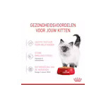 12x Royal Canin Kitten Jelly Kattenvoer Nat 85 gr