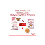 12x Royal Canin Kitten Jelly Kattenvoer Nat 85 gr