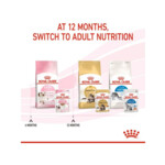 12x Royal Canin Kitten Loaf Kattenvoer Nat 85 gr