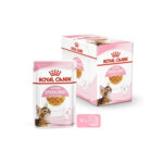 12x Royal Canin Kitten Sterilised Jelly Kattenvoer Nat 85 gr